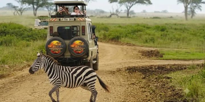 Komtashane Vehicle